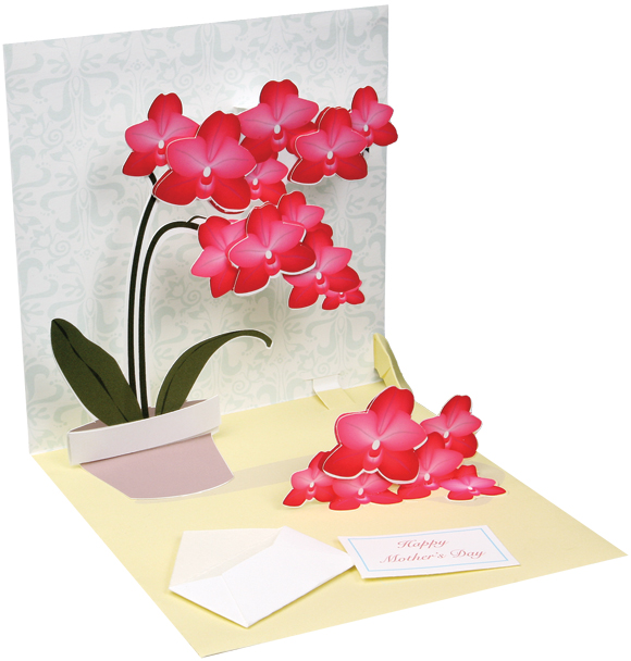Orchid greeting card